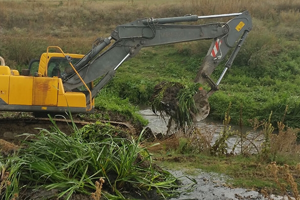 Cleanup Riverbeds